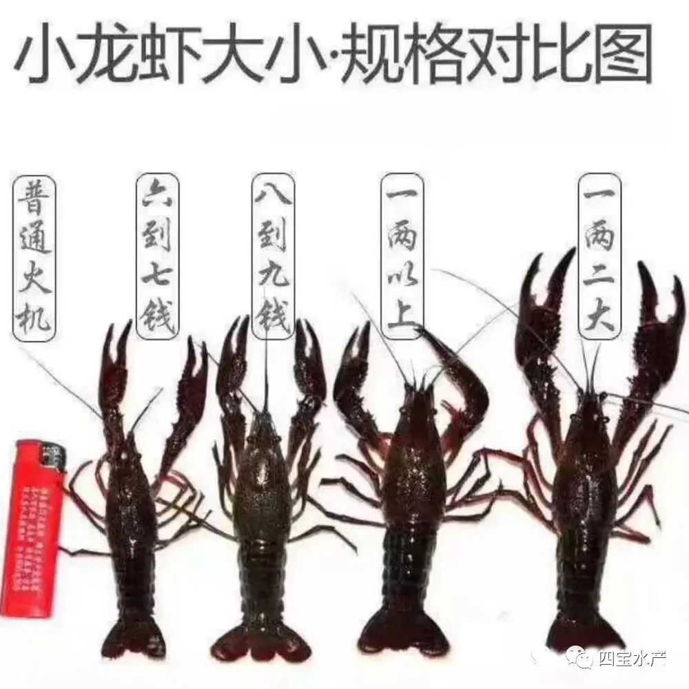 微信图片_20241023111519.jpg