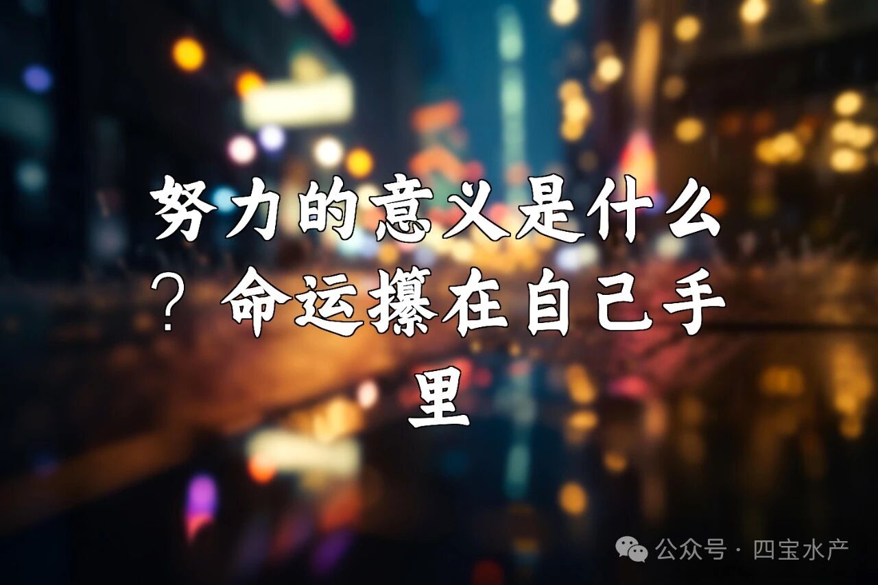 努力的意义(图1)