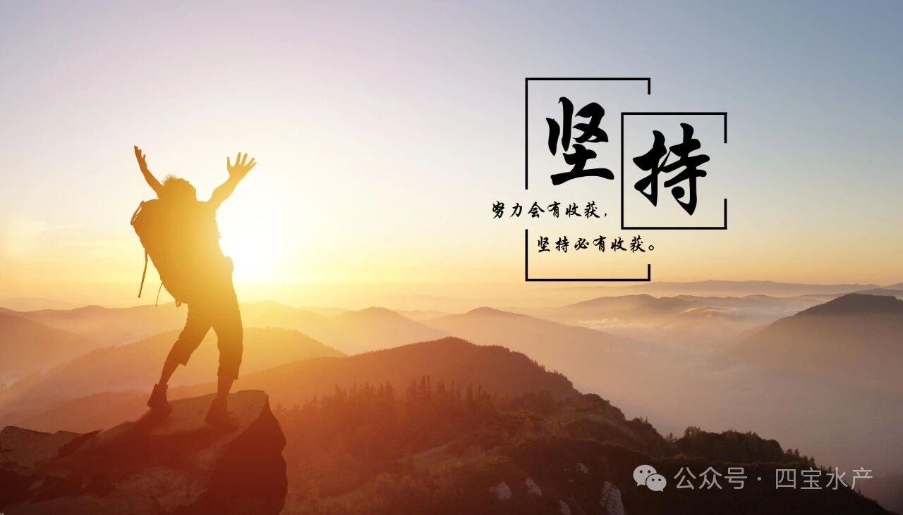 努力的意义(图9)