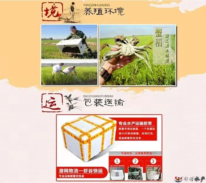 25公螃蟹(图4)