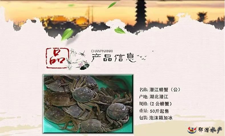 2公螃蟹(图1)