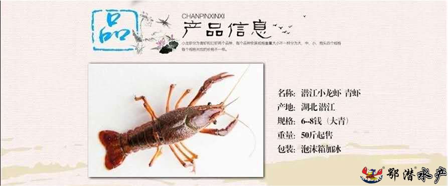 6-8大青(图1)
