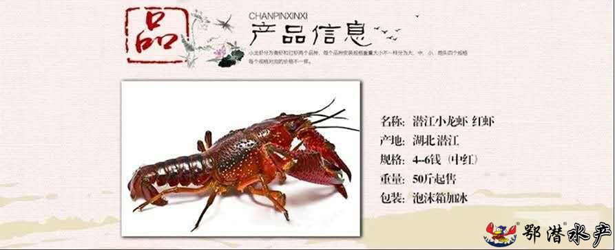 4-6中红(图1)
