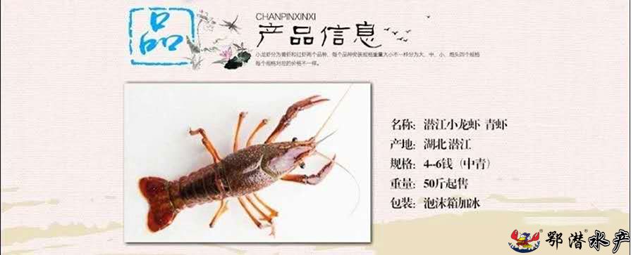 4-6中青(图1)