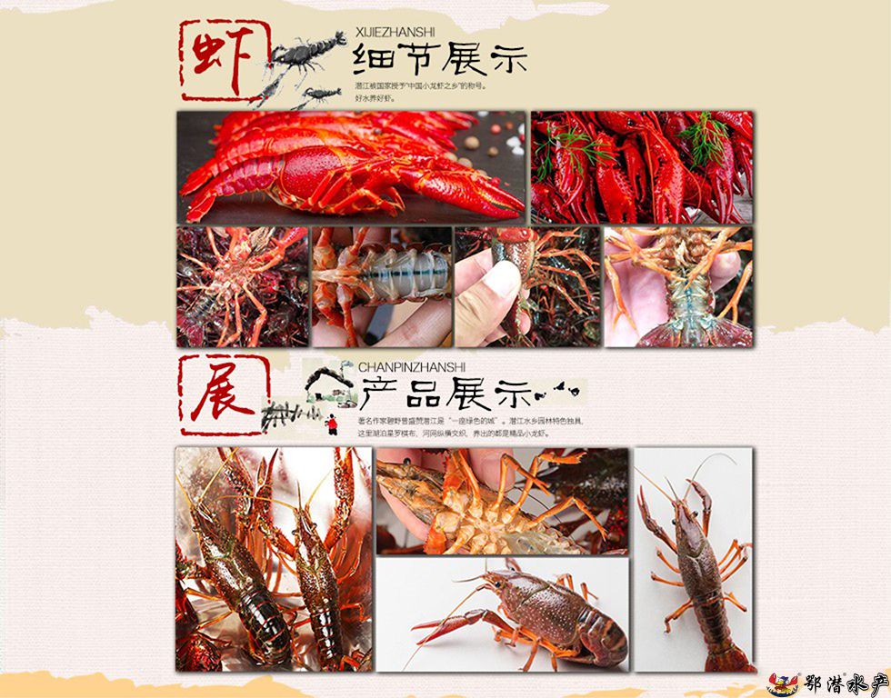 4-6中青(图4)