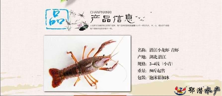 2-4小青(图1)