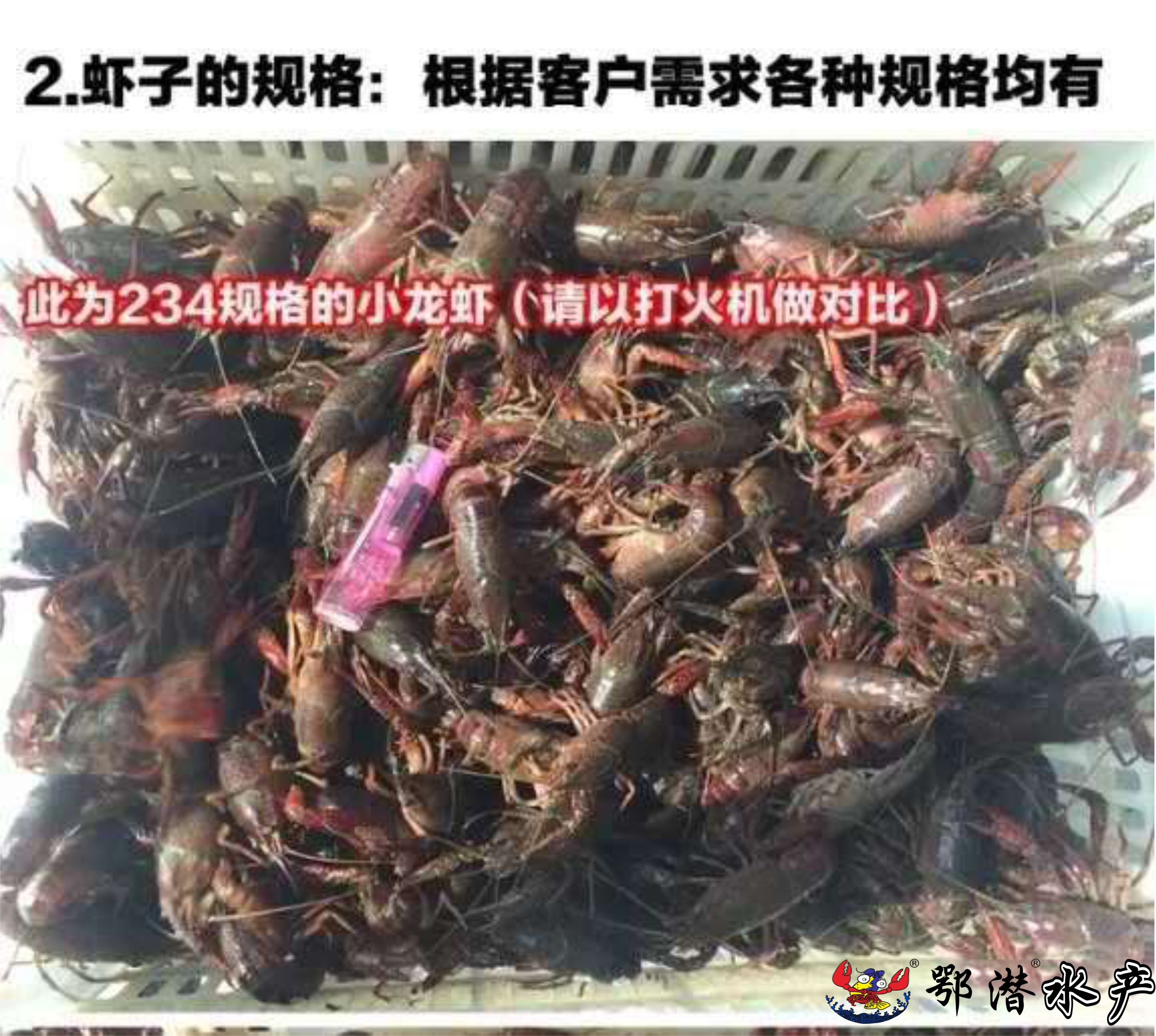 2-4小青(图3)