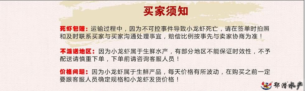 2-4小红(图5)