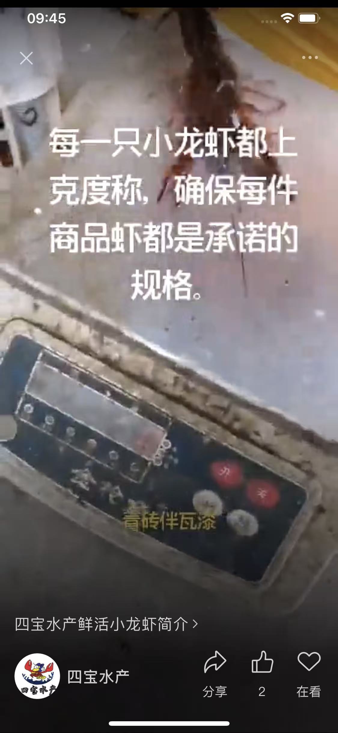潜江小龙虾(图4)