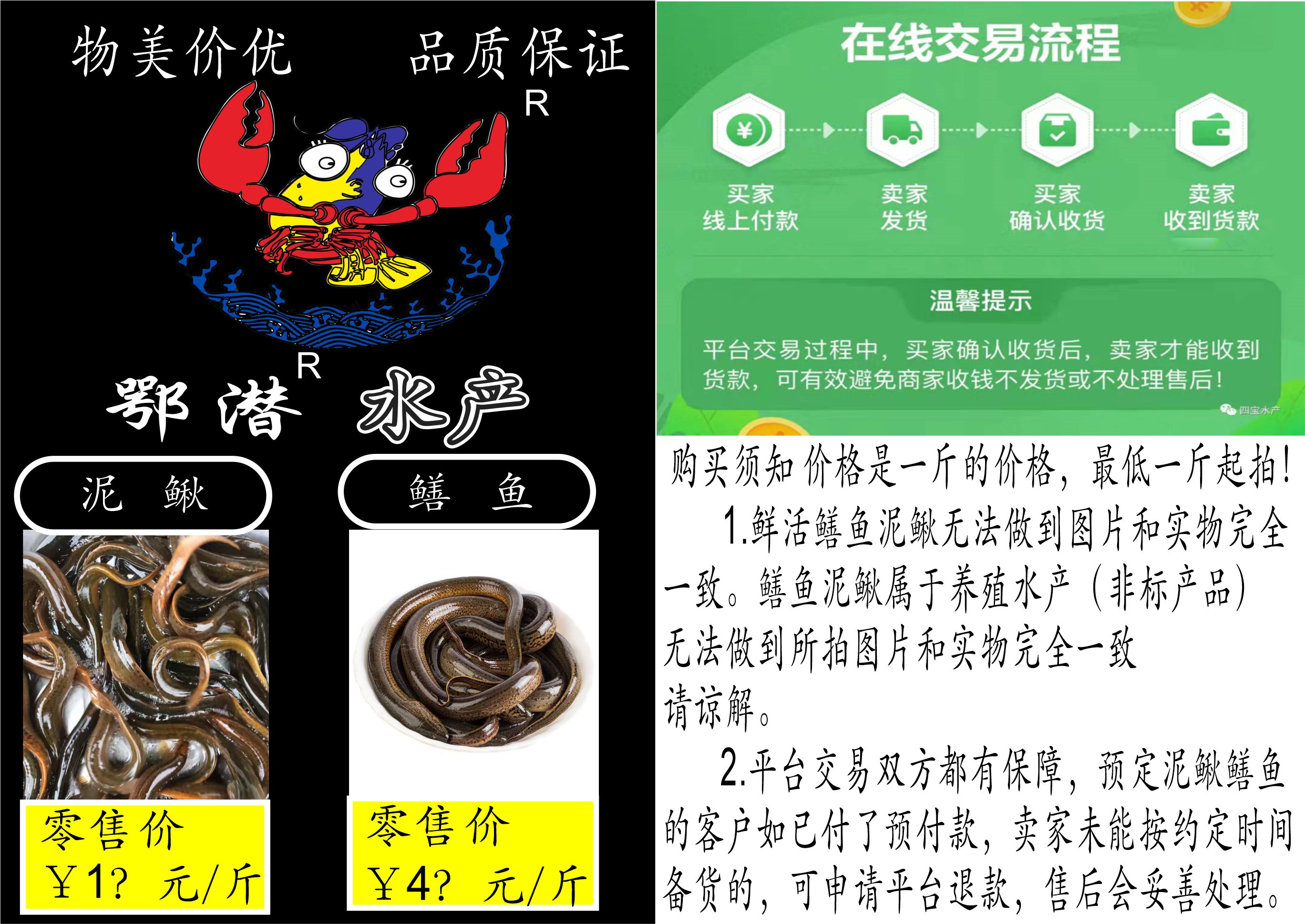 泥鳅
