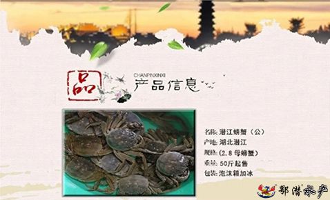 28母螃蟹(图1)