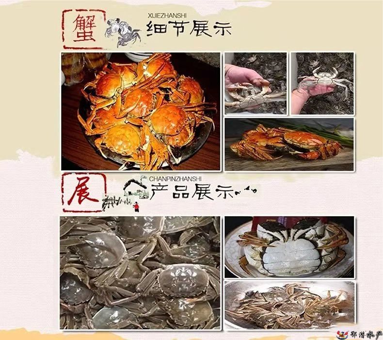 147母螃蟹(图3)