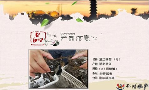 147母螃蟹(图1)