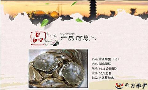45公螃蟹(图1)