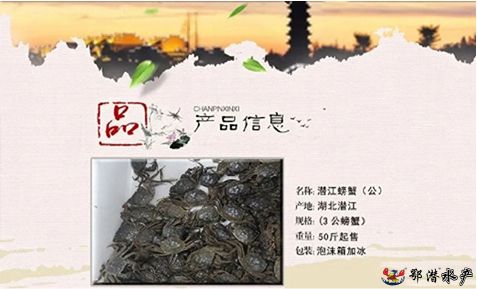 螃蟹(图4)