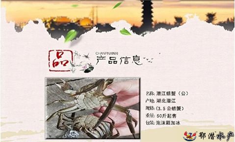 螃蟹(图5)