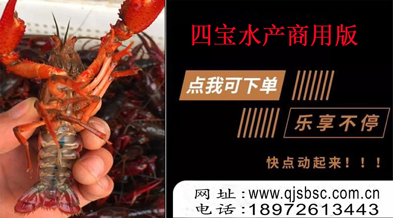 小龙虾从一钱大小长到七八钱需要多久？(图1)
