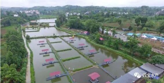 想要养殖龙虾，记住这些点你就能成功，同时也要避免误区(图2)