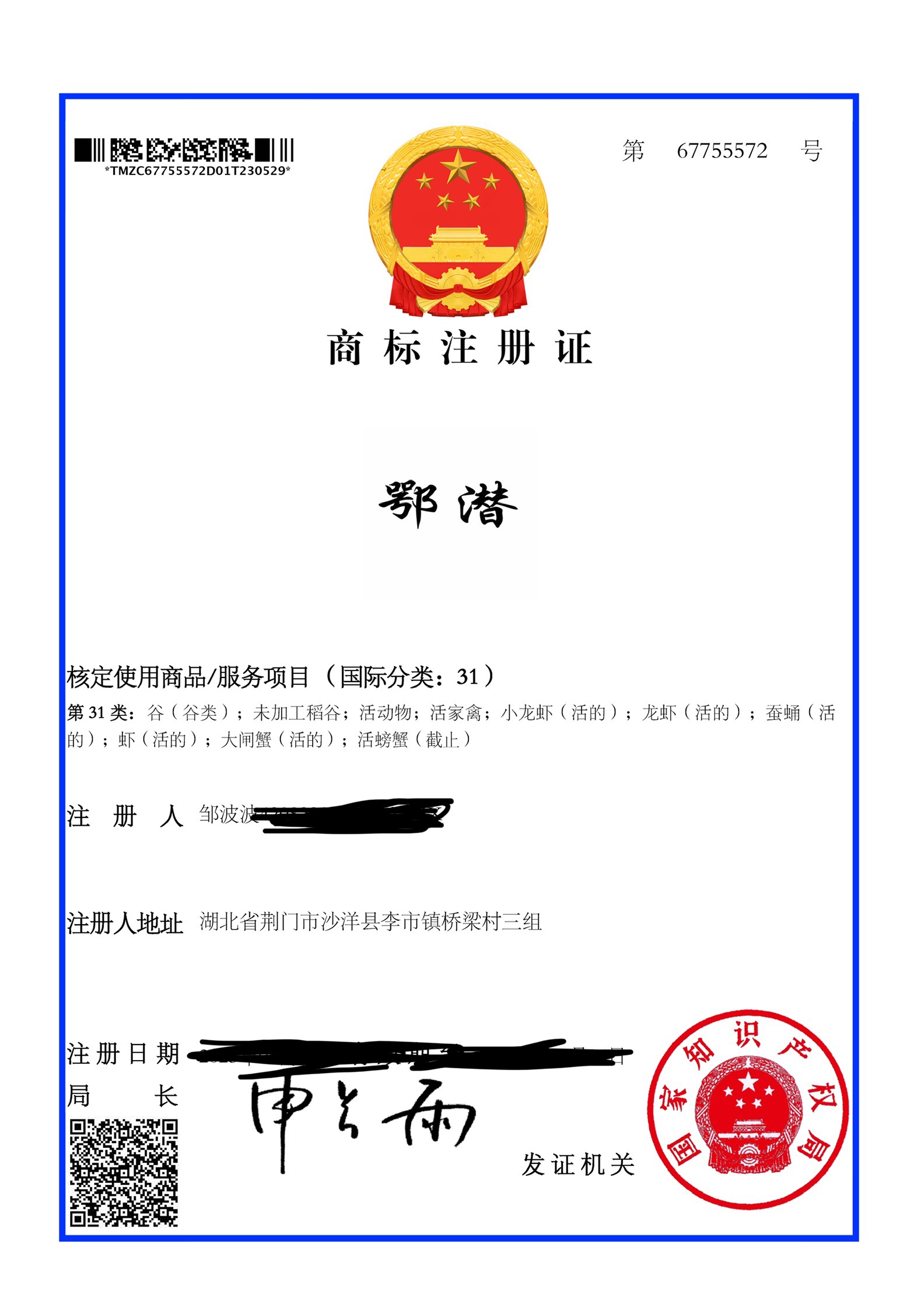 31类商标(图1)